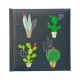 Libreta CACTUS 18X19 cm 42225  <b>30% DESCUENTO</b>