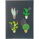 Libreta CACTUS A5 64225  <b>30% DESCUENTO</b>