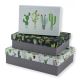 Set de 3 cajas de regalo CACTUS 85225